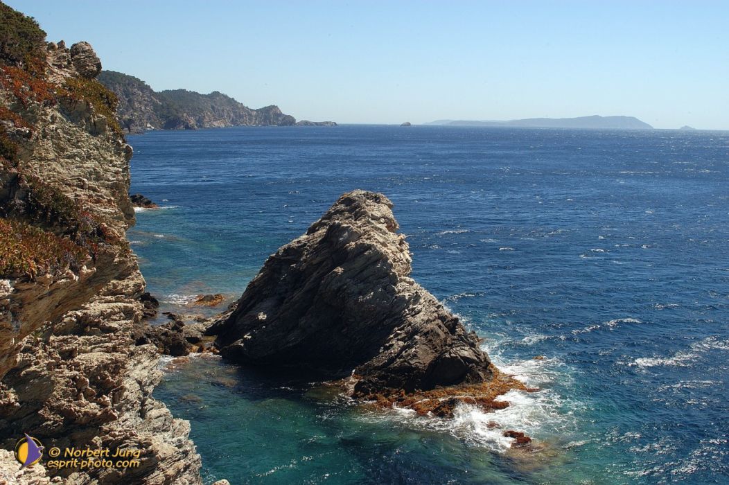 Nom de l'image : D1055277-nef-sel-01_(c)Norbert-JUNG — Description :